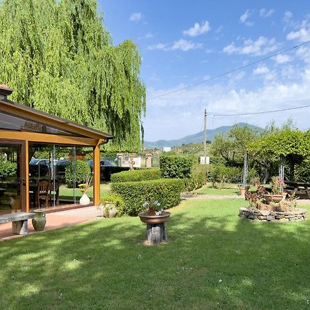 Agriturismo Terra Di Elea Azienda Agricola Di Raimondo Michela Ascea Extérieur photo