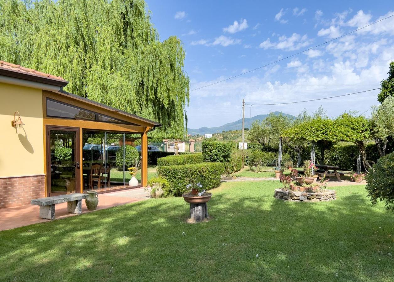 Agriturismo Terra Di Elea Azienda Agricola Di Raimondo Michela Ascea Extérieur photo
