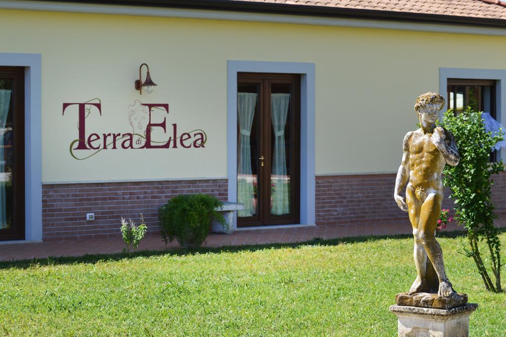 Agriturismo Terra Di Elea Azienda Agricola Di Raimondo Michela Ascea Extérieur photo