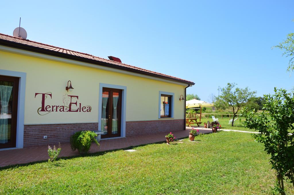 Agriturismo Terra Di Elea Azienda Agricola Di Raimondo Michela Ascea Extérieur photo