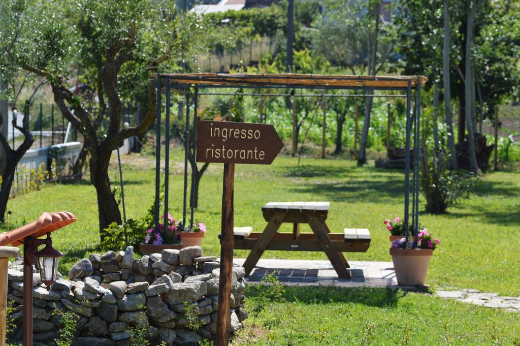 Agriturismo Terra Di Elea Azienda Agricola Di Raimondo Michela Ascea Extérieur photo