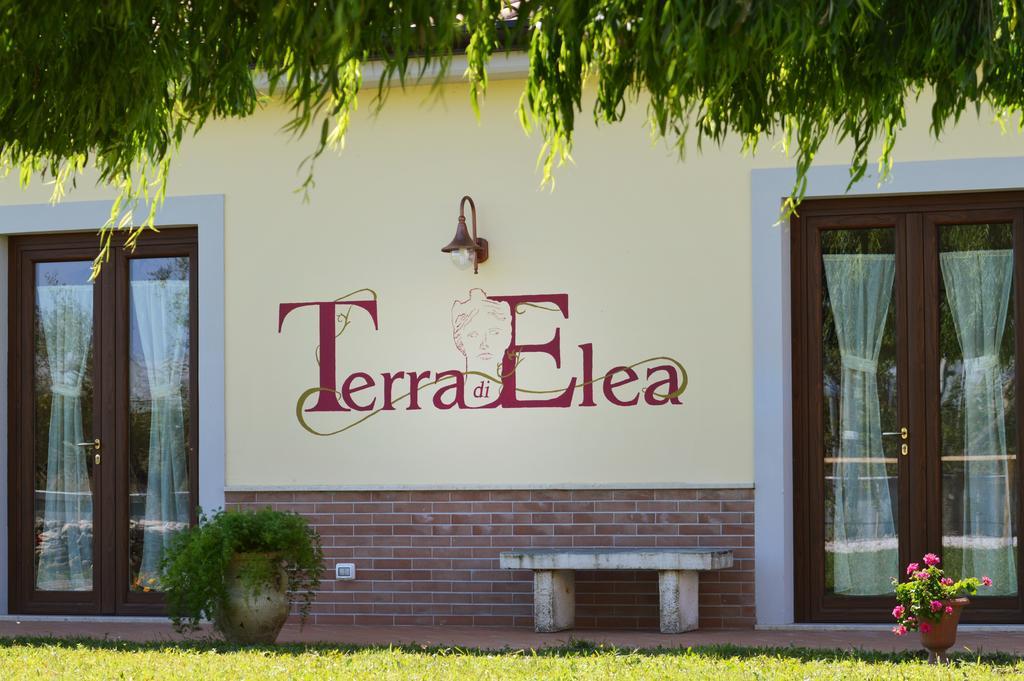 Agriturismo Terra Di Elea Azienda Agricola Di Raimondo Michela Ascea Extérieur photo