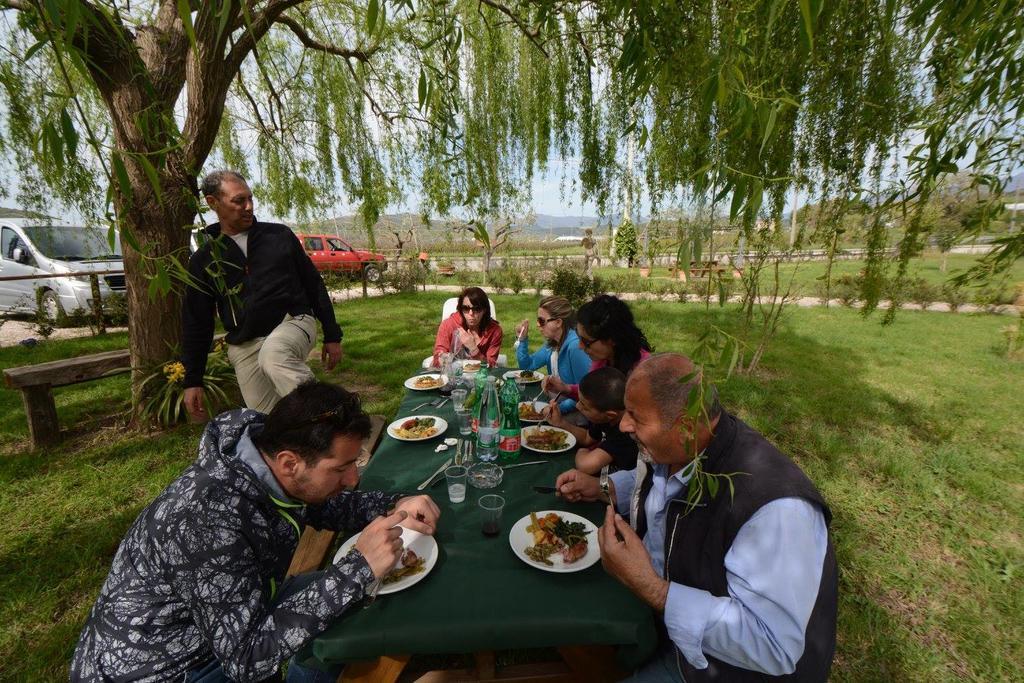 Agriturismo Terra Di Elea Azienda Agricola Di Raimondo Michela Ascea Extérieur photo