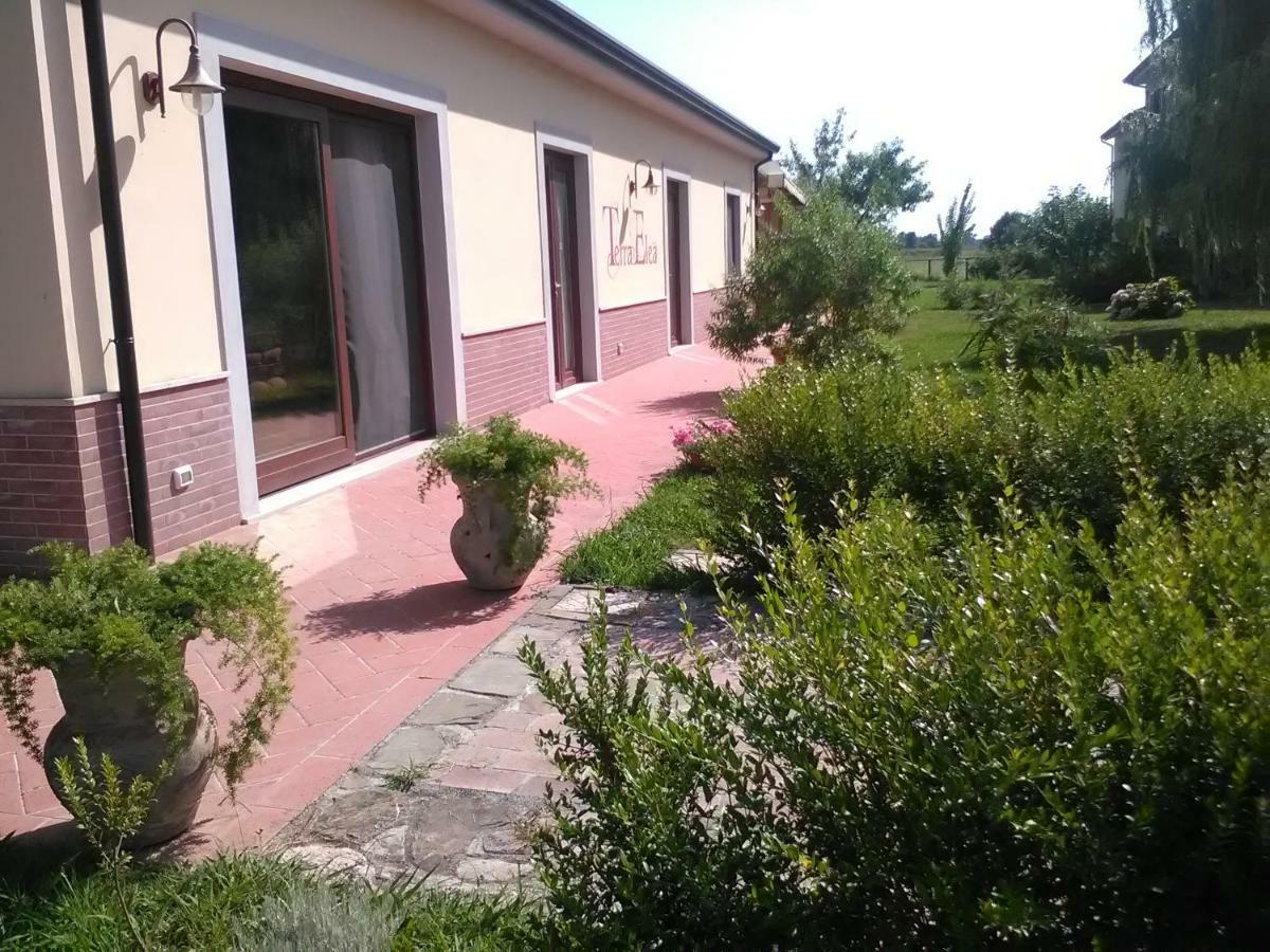 Agriturismo Terra Di Elea Azienda Agricola Di Raimondo Michela Ascea Extérieur photo