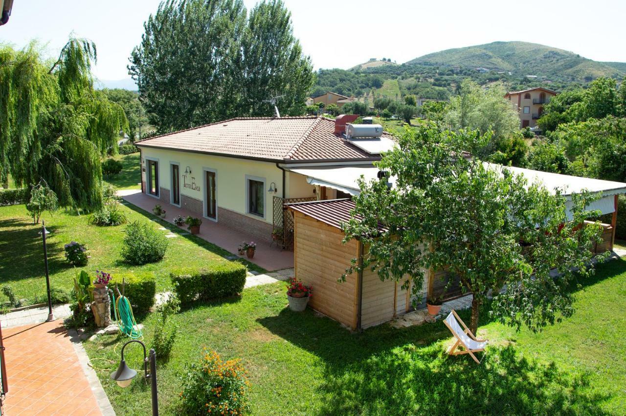 Agriturismo Terra Di Elea Azienda Agricola Di Raimondo Michela Ascea Extérieur photo