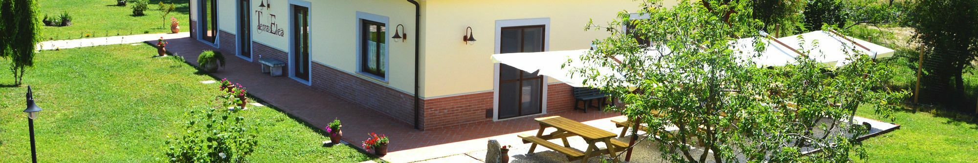 Agriturismo Terra Di Elea Azienda Agricola Di Raimondo Michela Ascea Extérieur photo